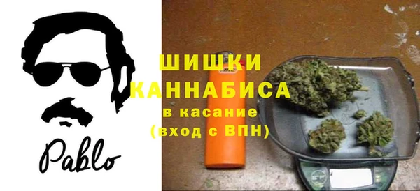 амф Бронницы
