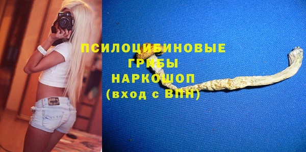 амф Бронницы