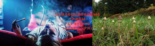 амф Бронницы