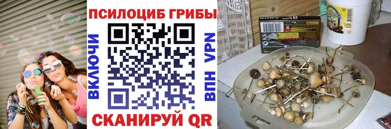 Галлюциногенные грибы мицелий Купить закладки Северо-Курильск
